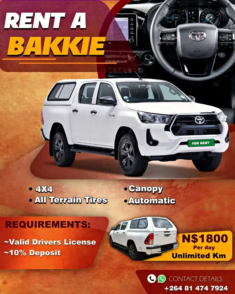 SEICHO marketing and campaign creative