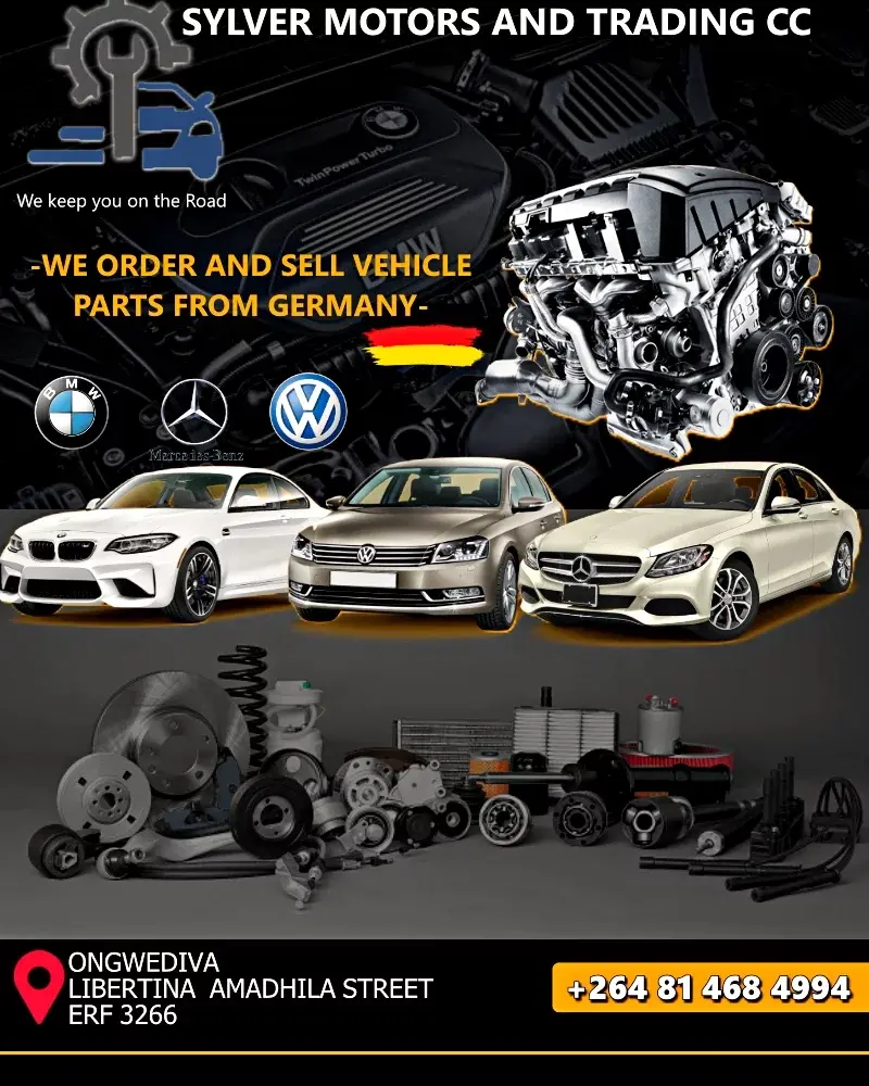 SEICHO marketing and campaign creative